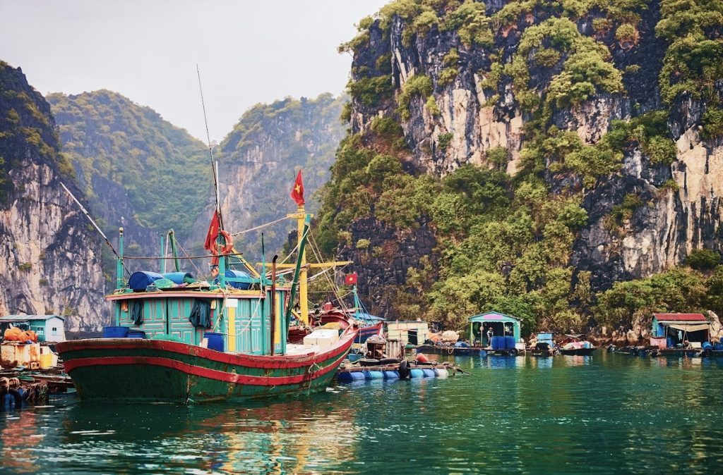 The Seafood of Halong Bay: What to Order and Why